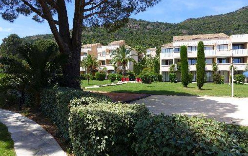 Location de vacances - Appartement à Le Lavandou