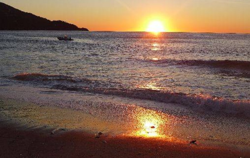 Location de vacances - Appartement à Le Lavandou