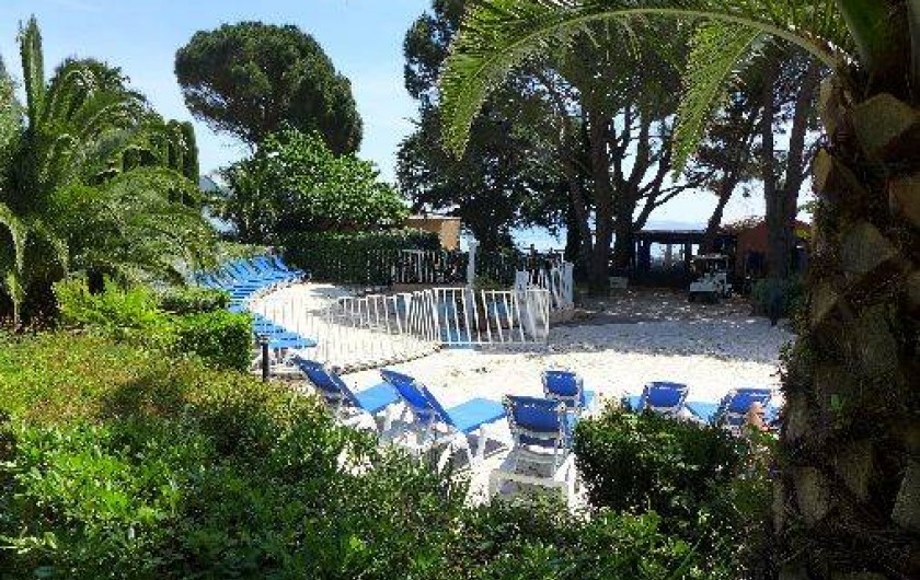 Location de vacances - Appartement à Le Lavandou