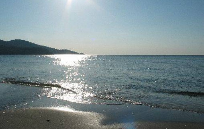 Location de vacances - Appartement à Le Lavandou