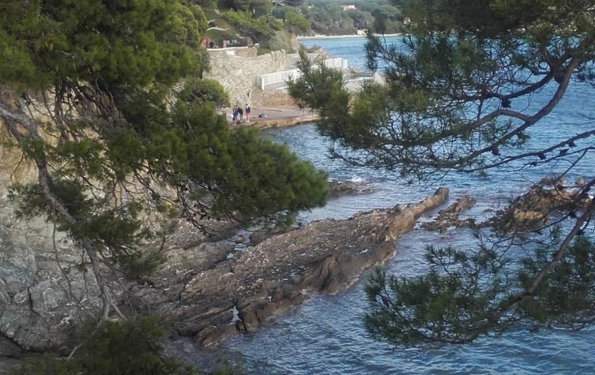 Location de vacances - Villa à Hyères - le port du Niel