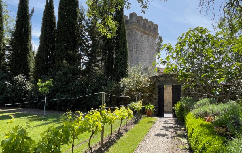 Location de vacances - Gîte à Montlaur - L'entrée du jardin