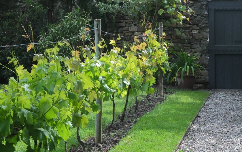 Location de vacances - Gîte à Montlaur - L'entrée du jardin