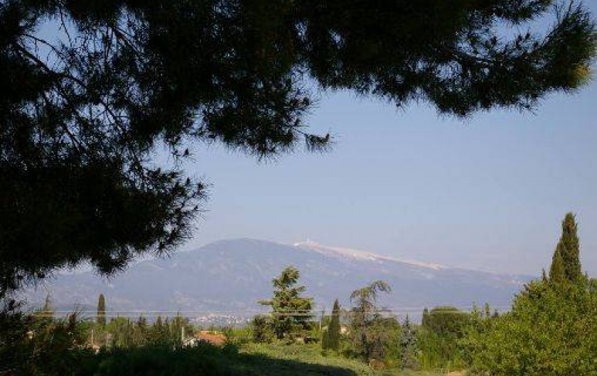 Location de vacances - Villa à Carpentras