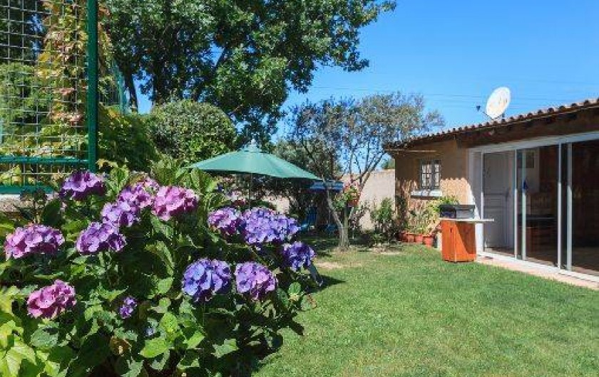 Location de vacances - Villa à Carpentras