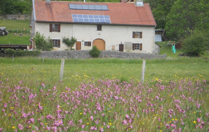 Location de vacances - Gîte à Nanchez