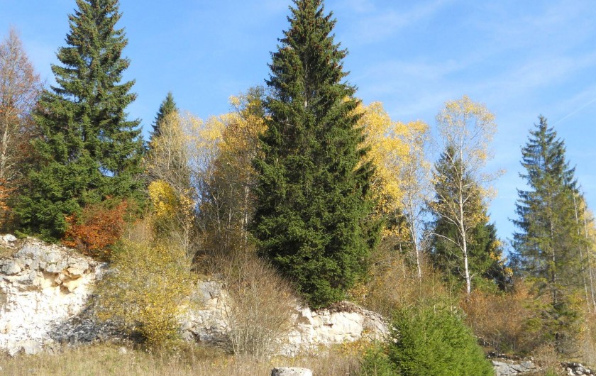 Location de vacances - Gîte à Nanchez
