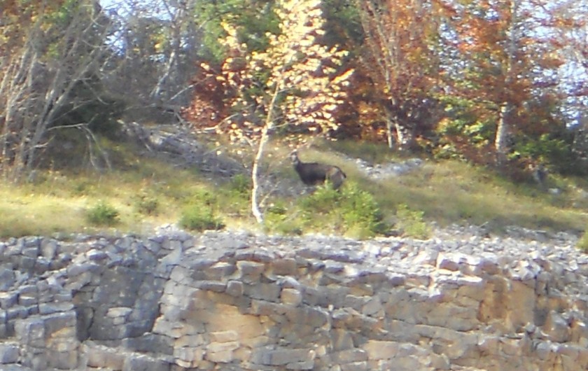 Location de vacances - Gîte à Nanchez