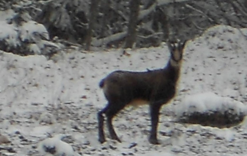 Location de vacances - Gîte à Nanchez