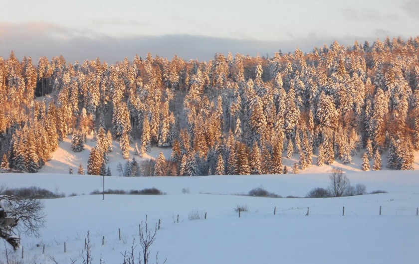 Location de vacances - Gîte à Nanchez