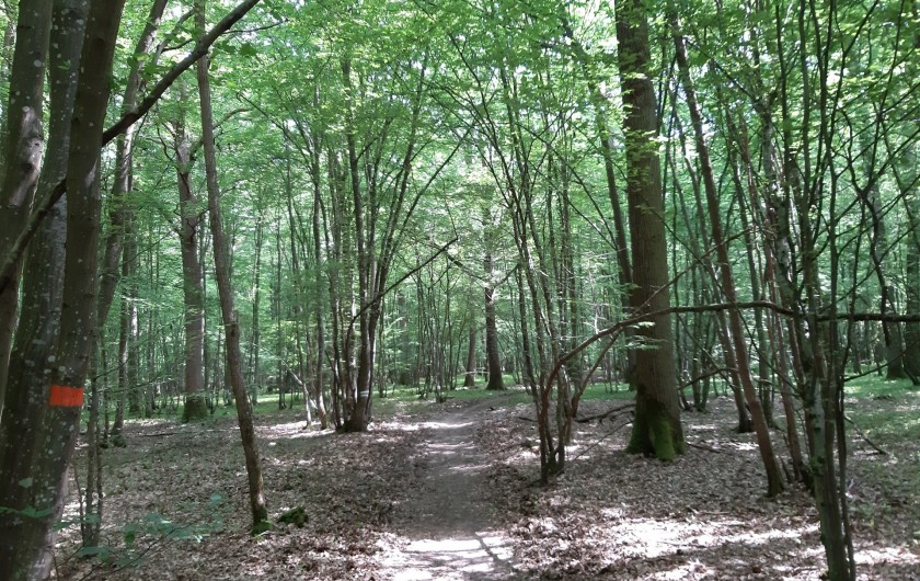 Location de vacances - Chambre d'hôtes à Rouvres