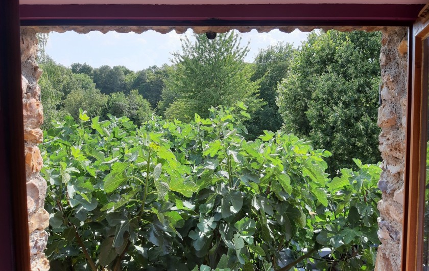 Location de vacances - Chambre d'hôtes à Rouvres