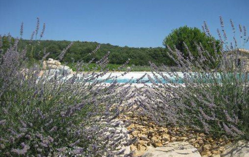 Location de vacances - Gîte à Mazan