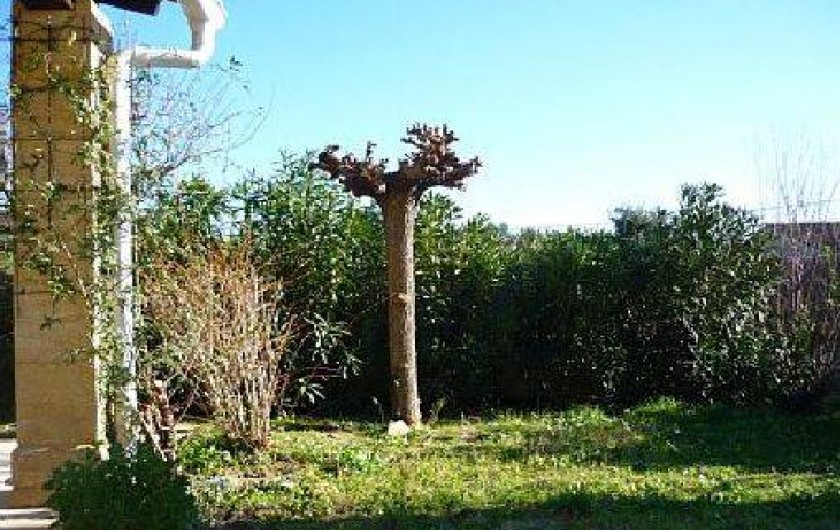 Location de vacances - Villa à Uzès