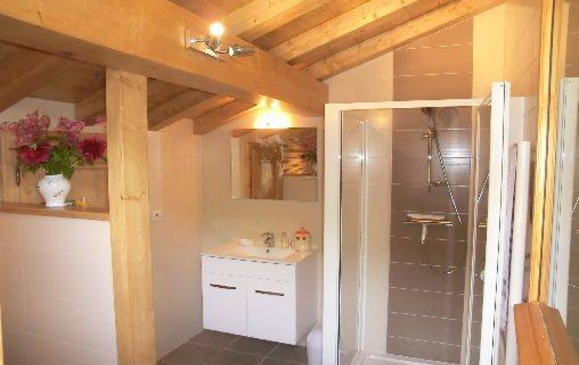 Location de vacances - Chalet à Samoëns