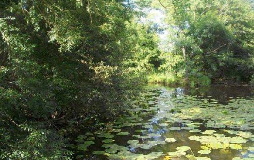 Location de vacances - Maison - Villa à Plesse