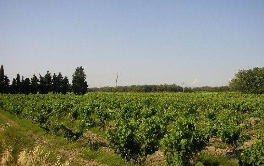 Location de vacances - Gîte à Sérignan-du-Comtat