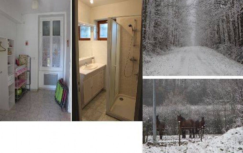 Location de vacances - Gîte à Narcy