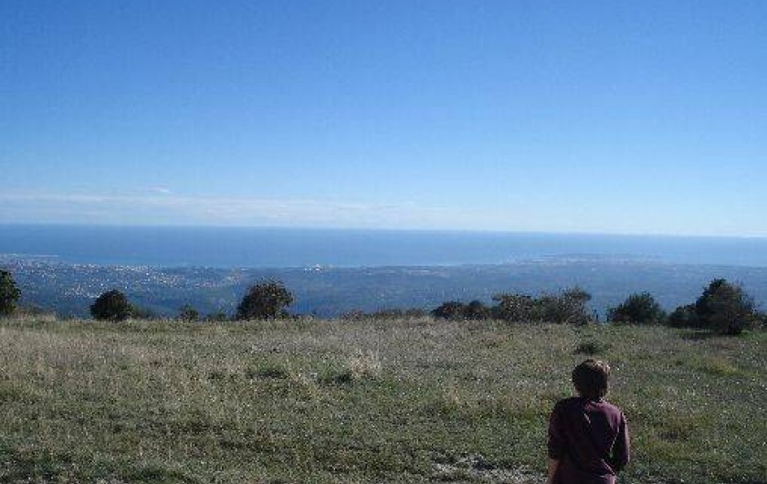 Location de vacances - Studio à Tourrettes-sur-Loup