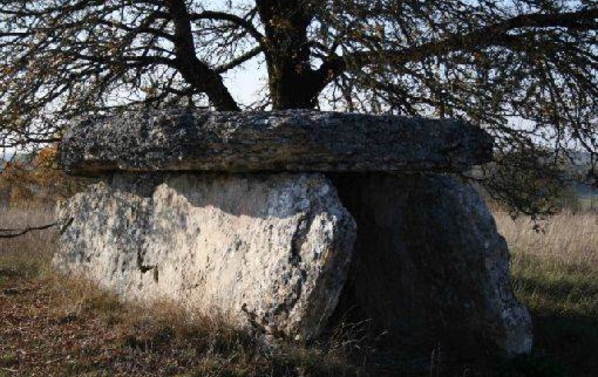 Location de vacances - Gîte à Limogne-en-Quercy