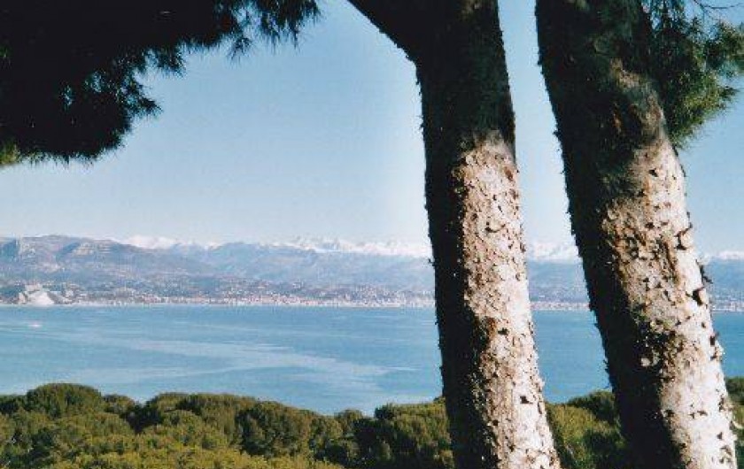 Location de vacances - Villa à Antibes