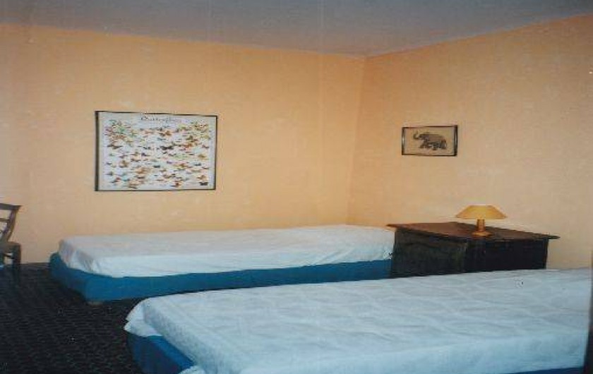 Location de vacances - Villa à Antibes