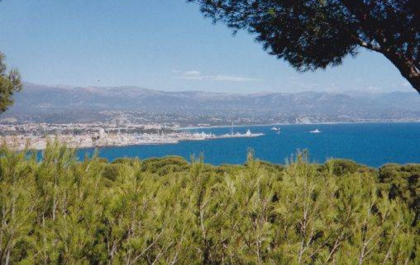 Location de vacances - Villa à Antibes