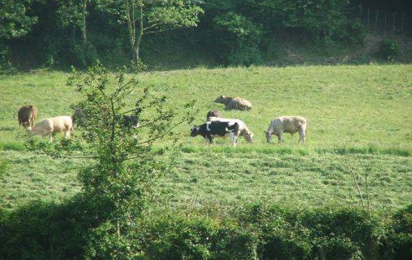 Location de vacances - Gîte à Saint-Michel-sous-Bois