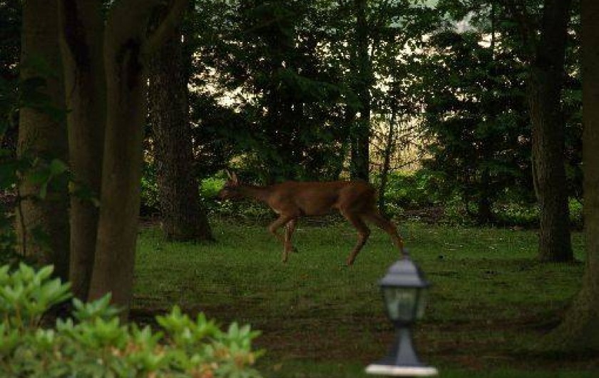 Location de vacances - Gîte à Lieurey