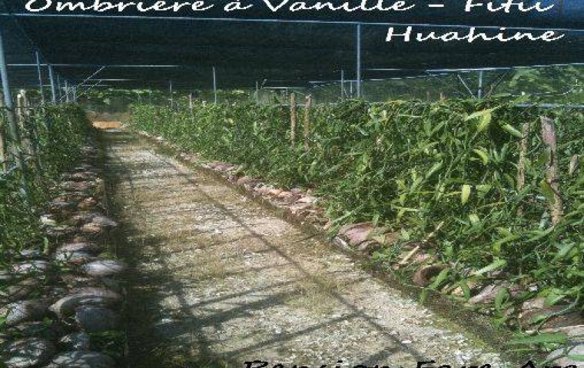 Location de vacances - Villa à Huahine