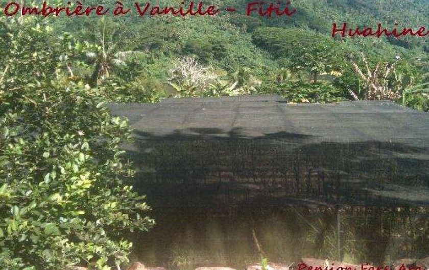 Location de vacances - Villa à Huahine