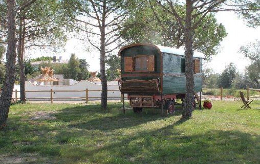 Location de vacances - Appartement à Saintes-Maries-de-la-Mer
