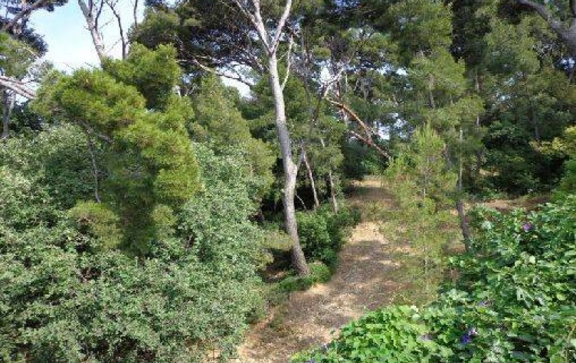 Location de vacances - Villa à Hyères