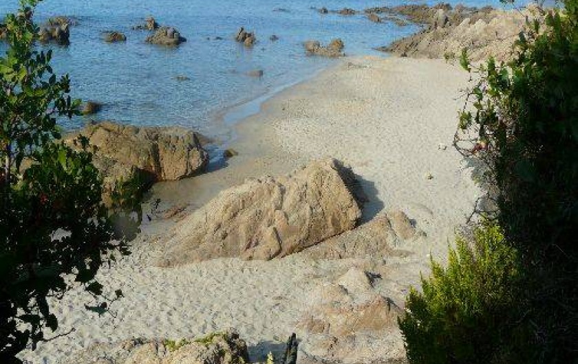 Location de vacances - Villa à Ajaccio - PLAGE