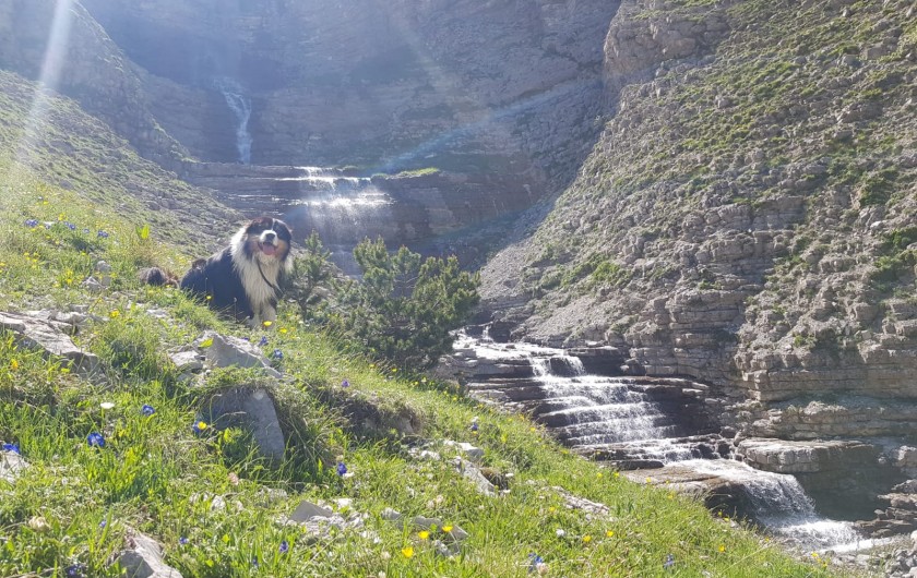 Location de vacances - Chalet à La Joue du Loup