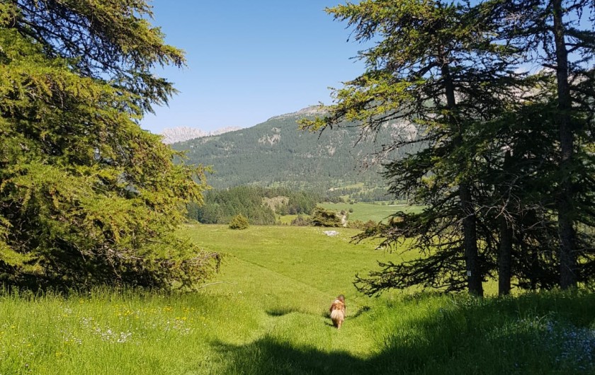 Location de vacances - Chalet à La Joue du Loup