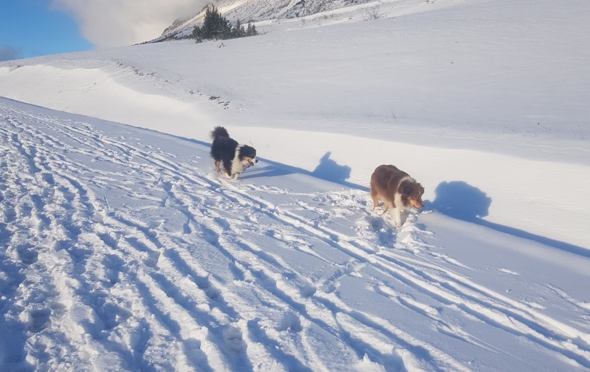 Location de vacances - Chalet à La Joue du Loup