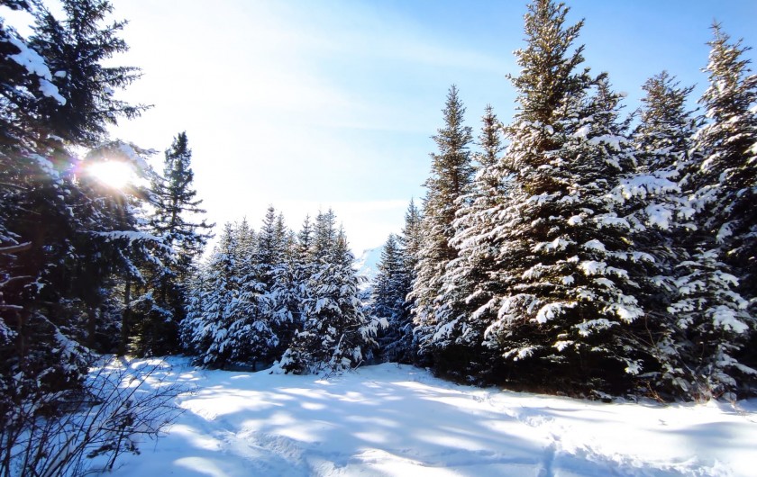 Location de vacances - Chalet à La Joue du Loup - Les Chalets de Céline, la magie de votre séjour à la montagne