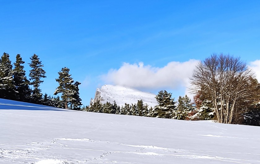 Location de vacances - Chalet à La Joue du Loup