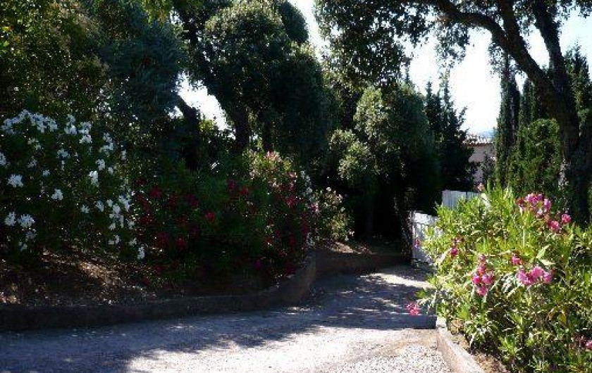 Location de vacances - Villa à Grimaud