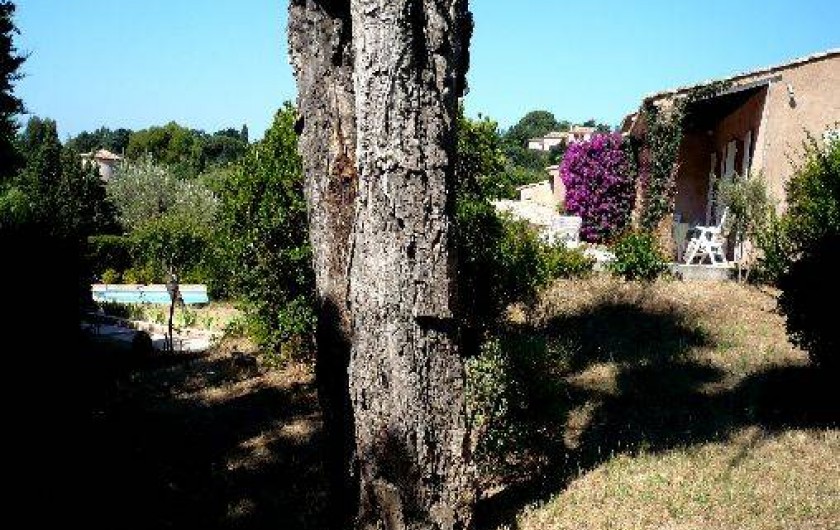 Location de vacances - Villa à Grimaud