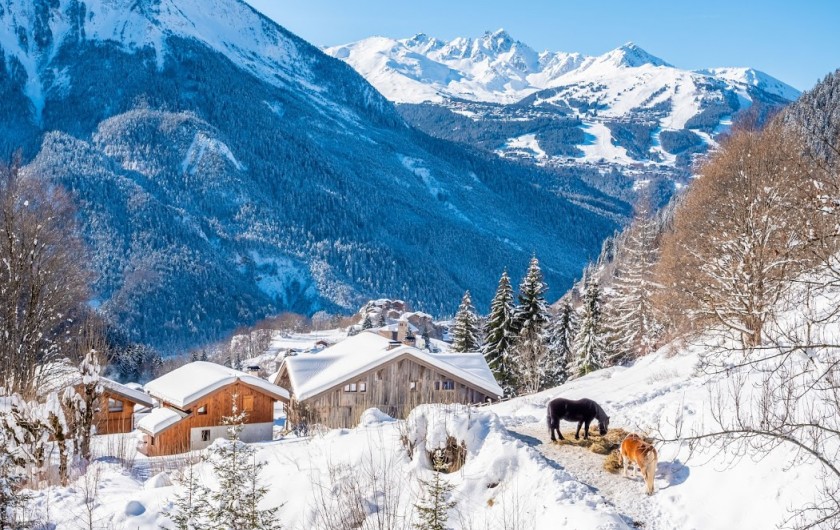 Location de vacances - Chalet à Champagny-en-Vanoise