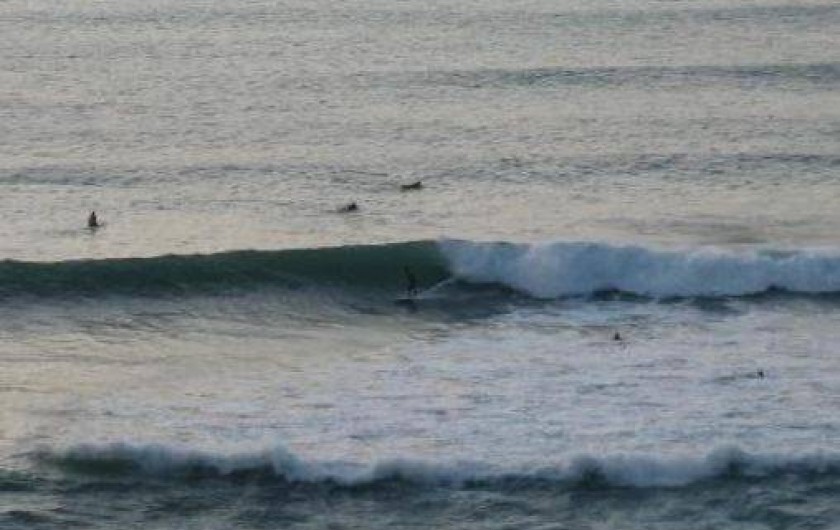 Location de vacances - Appartement à Bidart