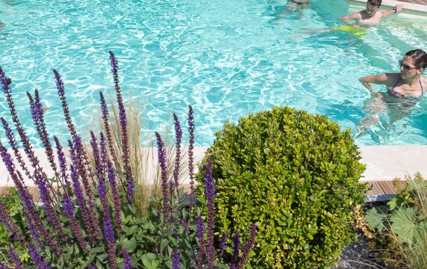 Location de vacances - Chalet à Rieupeyroux - Piscine avec jardinière