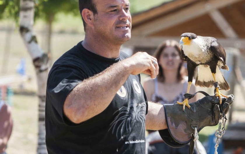 Location de vacances - Chalet à Rieupeyroux - Le parc animalier de Pradinas