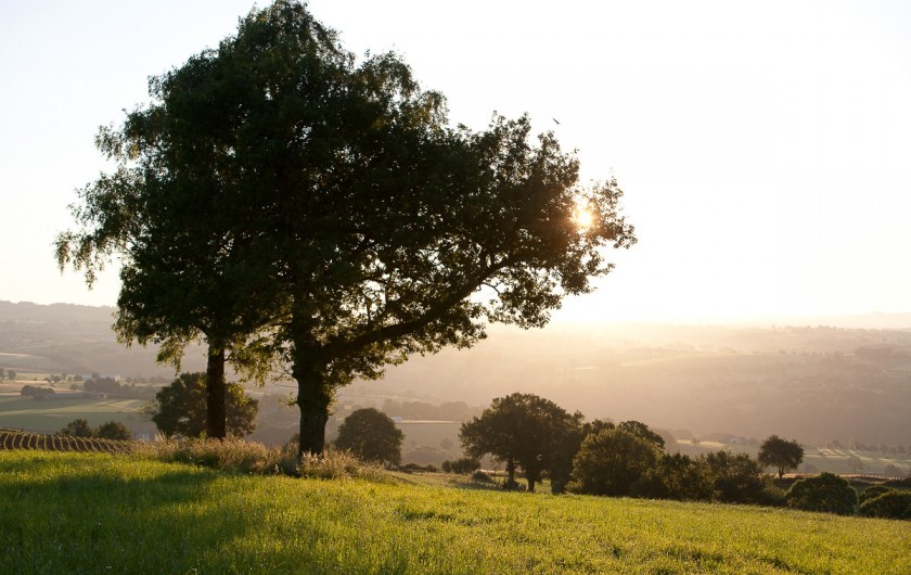 Location de vacances - Chalet à Rieupeyroux - Paysage du Ségala