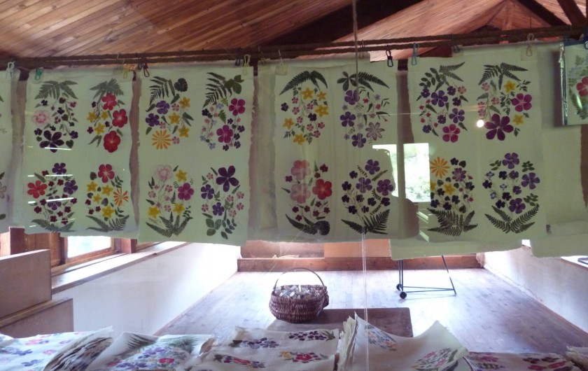 Location de vacances - Chalet à Saint-Amant-Roche-Savine