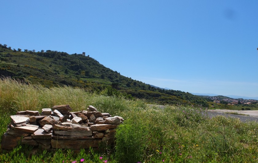 Location de vacances - Appartement à Port-Vendres