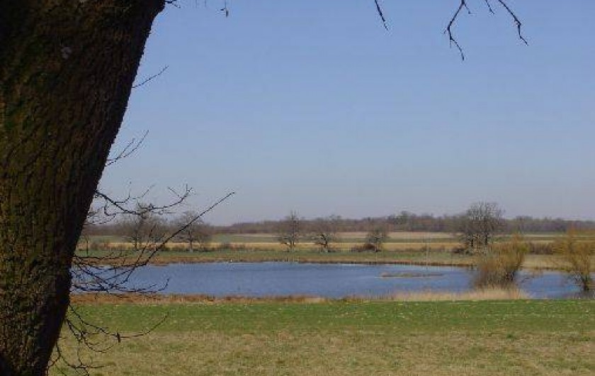 Location de vacances - Gîte à Outines - Etang réservé à la pêche et à l'observation des oiseaux