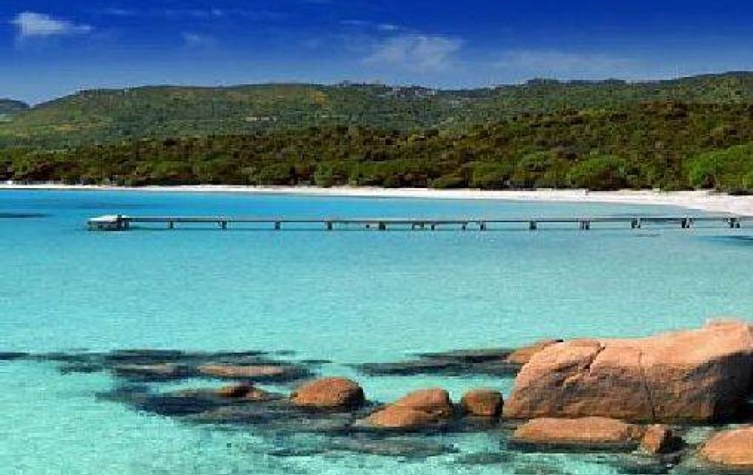 Location de vacances - Villa à Porto-Vecchio